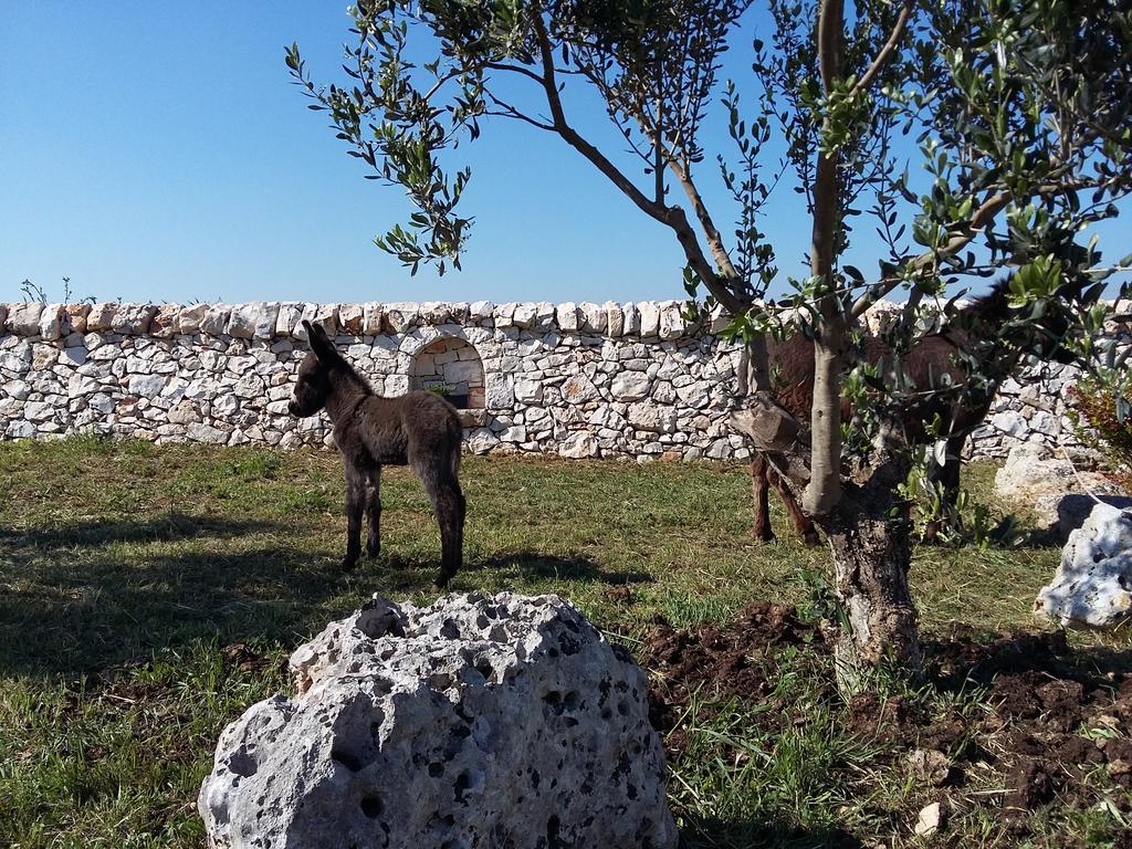 Вілла Agriturismo Masseria Casedde Vecchie Мартіна-Франка Екстер'єр фото